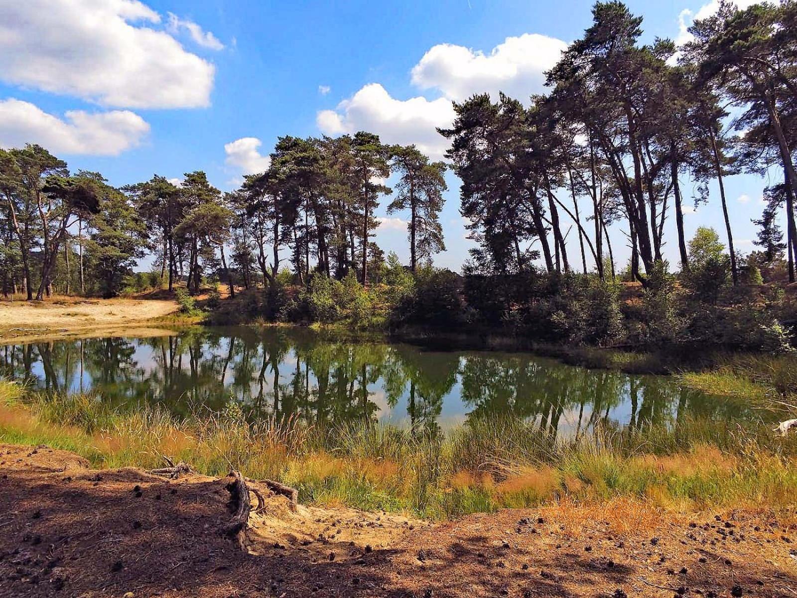 Veluwe Vakantiehuis - Bosuil Lodge Lunteren Bagian luar foto